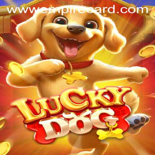 Discovering the World of LuckyDog: A Journey into Tactical Card Play with Empire Card